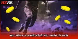 Kèo Châu Á Cách Hiểu Để Bắt Kèo Chuẩn Xác Nhất